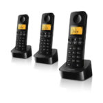 Téléphone Trio PHILIPS D210