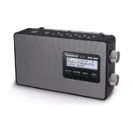 Radio Portable 99RF-D10